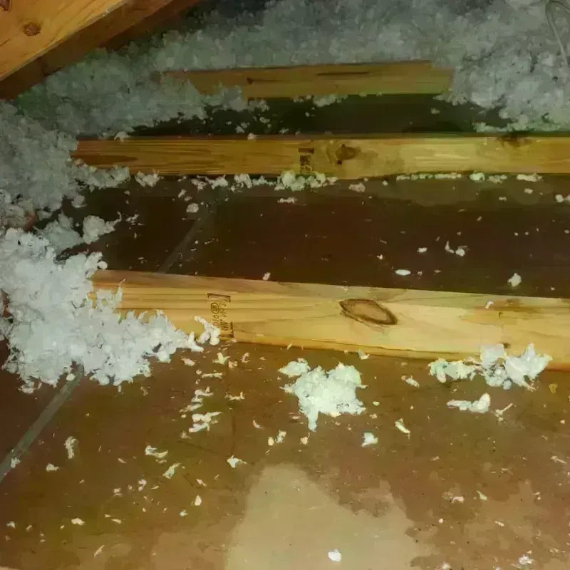 Attic Water Damage in Hartville, MO